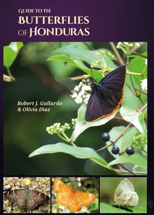 GUIDE TO THE BUTTERFLIES OF HONDURAS