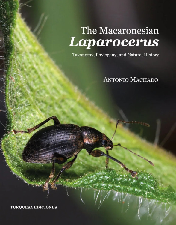 THE MACARONESIAN LAPAROCERUS. TAXONOMY, PHYLOGENY AND NATURAL HISTORY