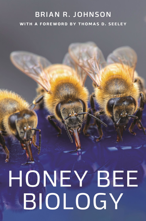 HONEY BEE BIOLOGY