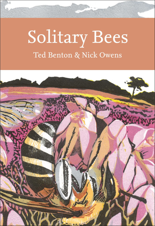 SOLITARY BEES 1