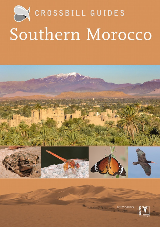 CROSSBILL GUIDES. SOUTHERN MOROCCO
