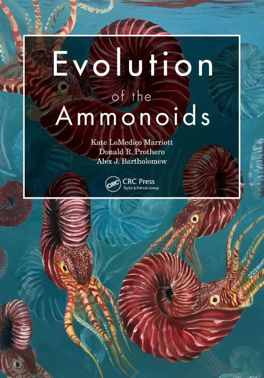 EVOLUTION OF THE AMMONOIDS
