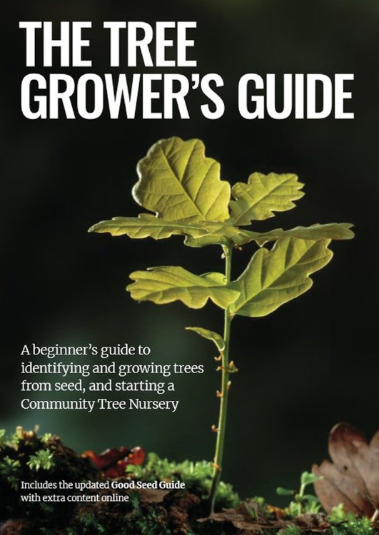 THE TREE GROWER'S GUIDE THE ESSENTIALS STEP-BY-STEP GUIDE FOR IDENTIFICATYING, GATHERING AND GROWING UK TREES FROM SEEDS