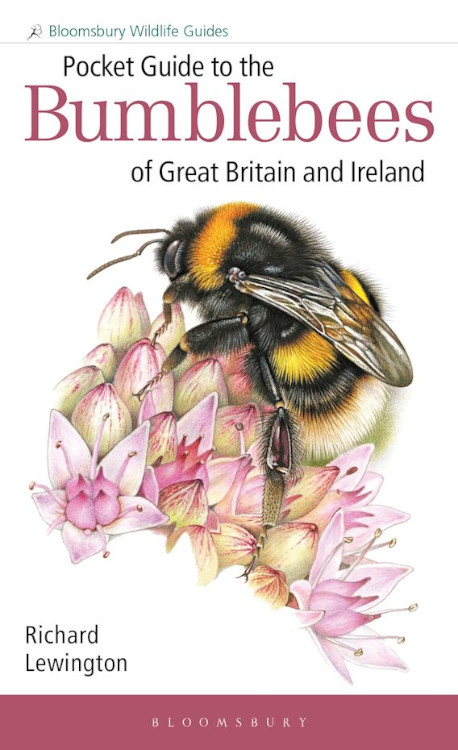 POCKET GUIDE TO THE BUMBLEBEES OF GREAT BRITAIN AND IRELAND 1