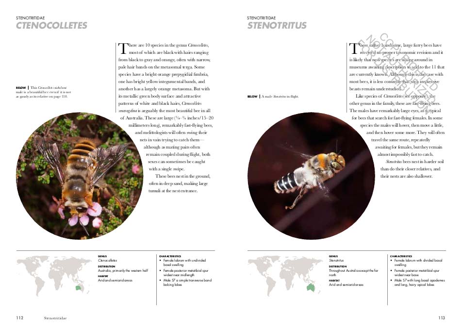 BEES OF THE WORLD. A GUIDE TO EVERY FAMILY 3