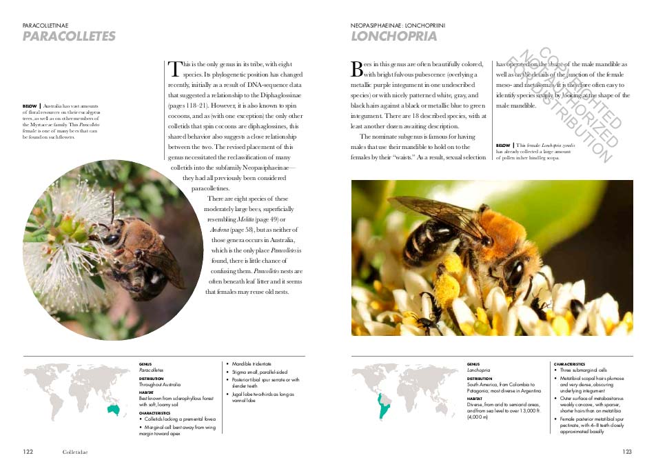 BEES OF THE WORLD. A GUIDE TO EVERY FAMILY 6