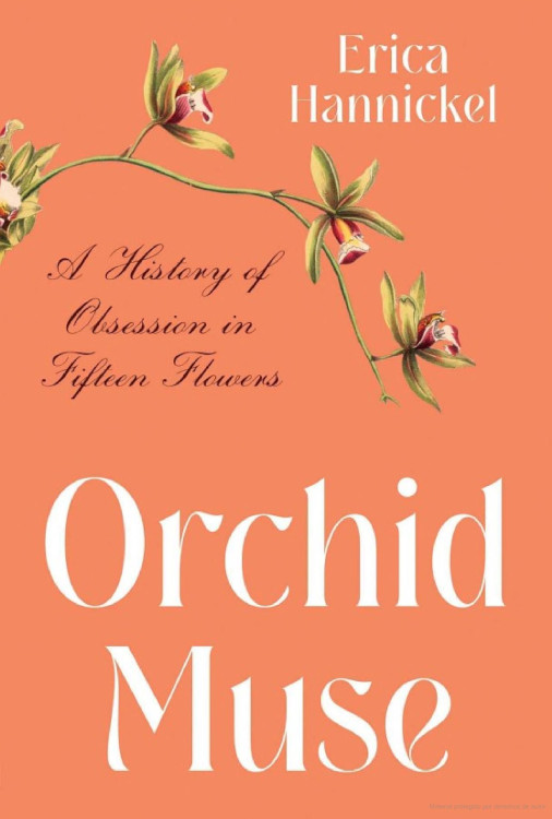 ORCHID MUSE. A HISTORY OF OBSESSION IN FIFTEEN FLOWERS 1