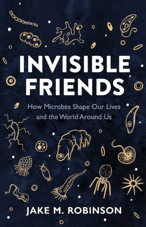 INVISIBLE FRIENDS. HOW MICROBES SHAPE OUR LIVES AND THE WORLD AROUND US