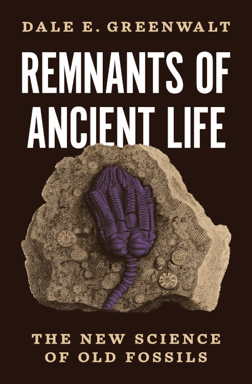 REMNANTS OF ANCIENT LIFE: THE NEW SCIENCE OF OLD FOSSILS