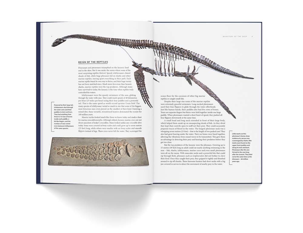 ANCIENT SEA REPTILES. PLEIOSAURS, ICHTHYOSAURS, MOSASAURS & MORE 2