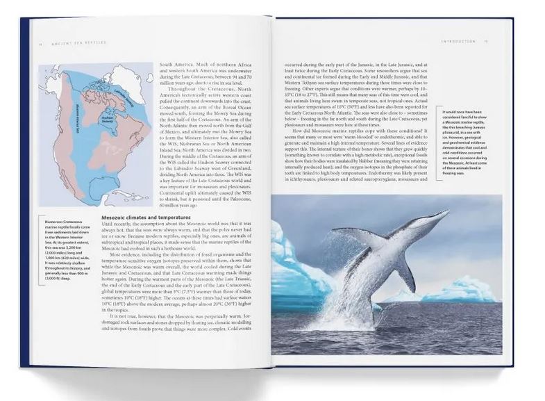 ANCIENT SEA REPTILES. PLEIOSAURS, ICHTHYOSAURS, MOSASAURS & MORE 3