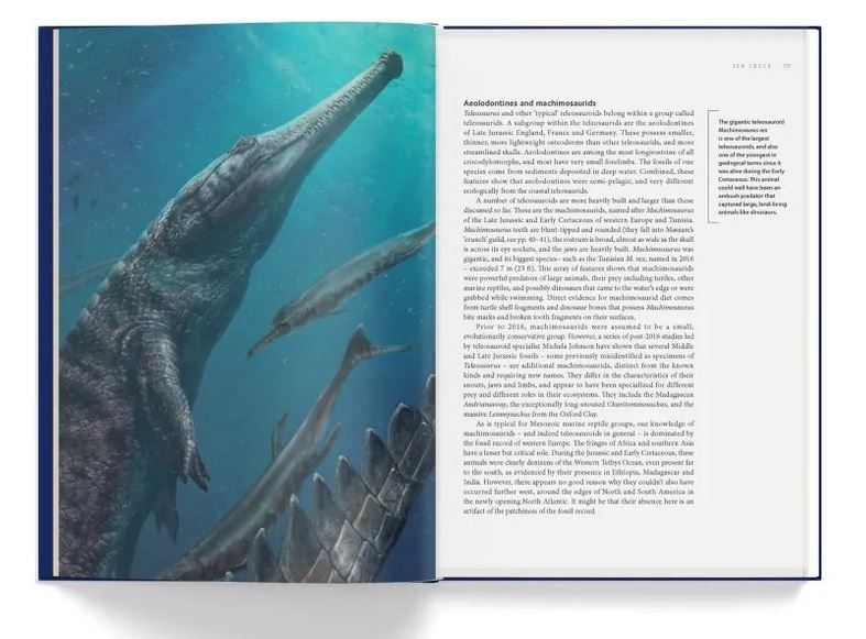 ANCIENT SEA REPTILES. PLEIOSAURS, ICHTHYOSAURS, MOSASAURS & MORE 4