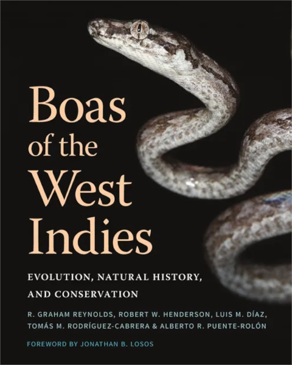 BOAS OF THE WEST INDIES