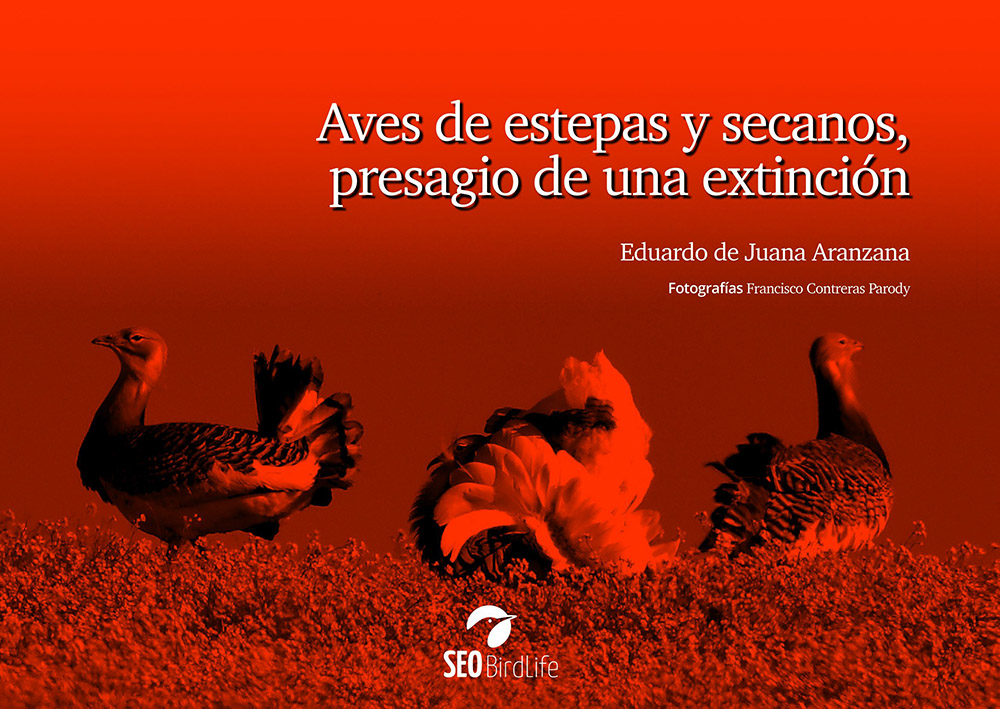 AVES DE ESTEPAS Y SECANOS, PRESAGIO DE UNA EXTINCIÓN 1