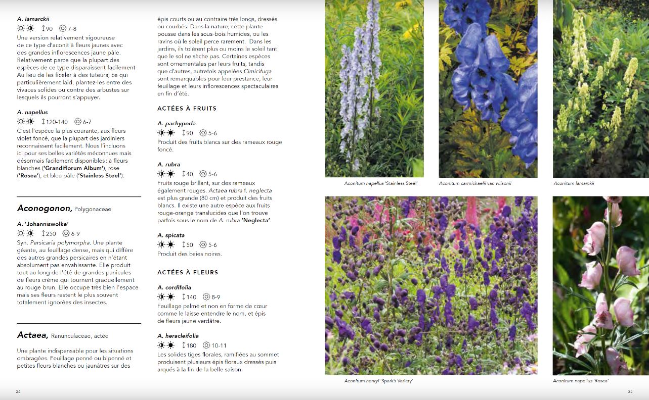 JARDINS NATURALISTES - LES MEILLEURES PLANTES VIVACES 3