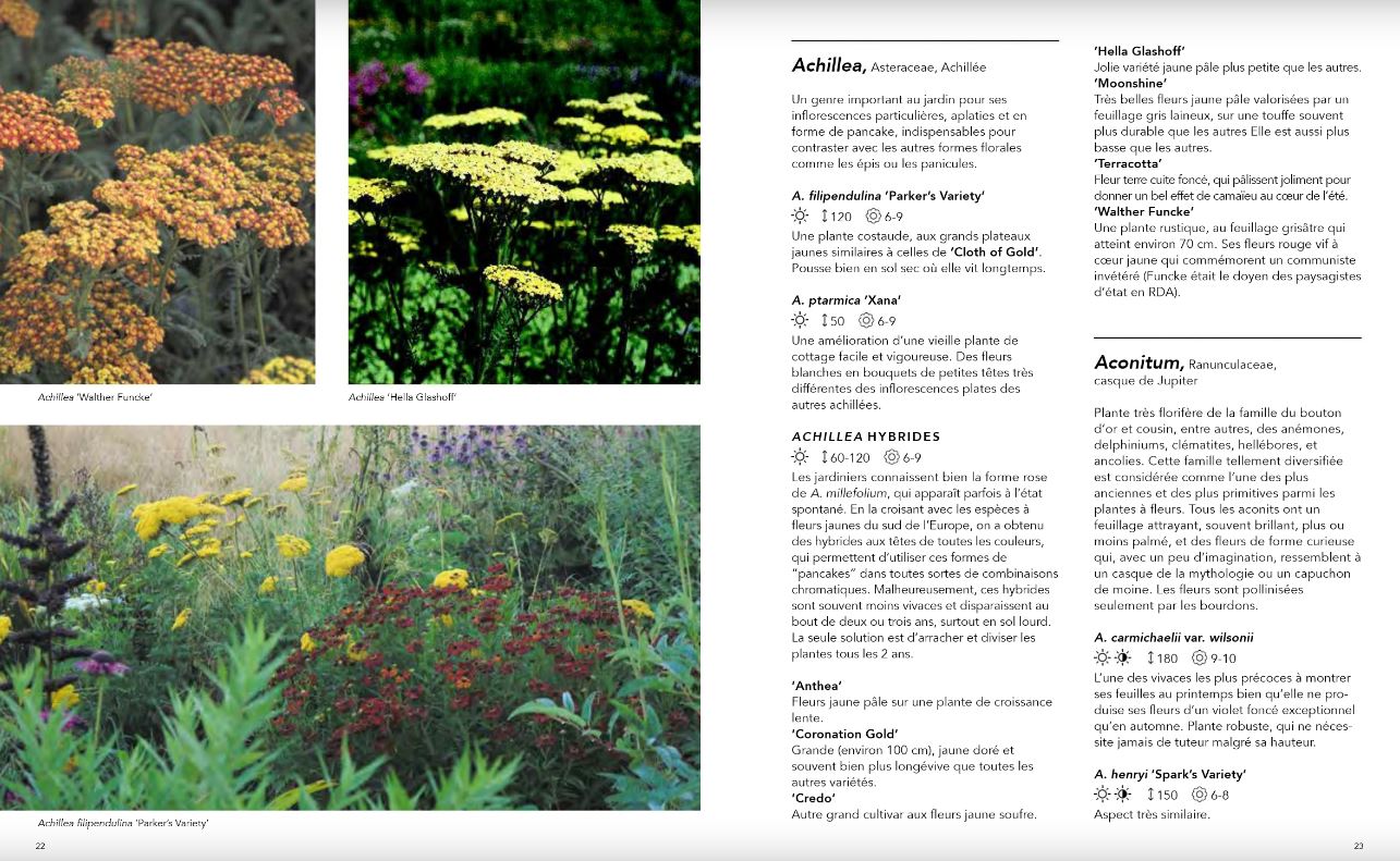 JARDINS NATURALISTES - LES MEILLEURES PLANTES VIVACES 4
