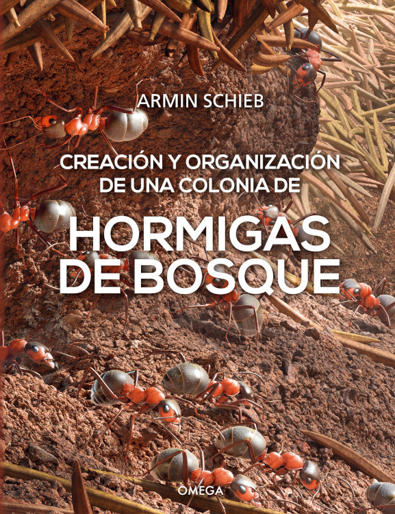 CREACIÓN Y ORGANIZACIÓN DE UNA COLONIA DE HORMIGAS DE BOSQUE 1