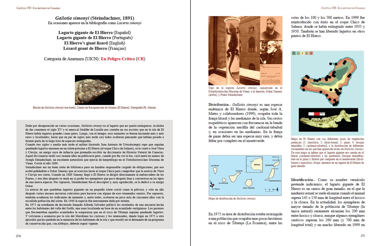 REPTILES DE MACARONESIA, AZORES, MADEIRA, SALVAJES, CANARIAS, CABO VERDE Y LITORAL SÁHARA ATLÁNTICO 3