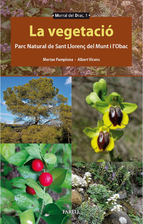 LA VEGETACIÓ. PARC NATURAL DE SANT LLORENÇ DEL MUNT I L'OBAC