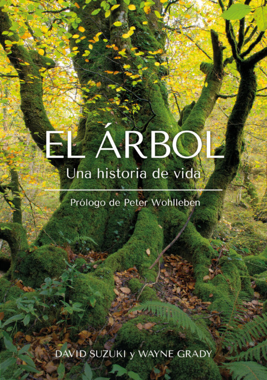EL ÁRBOL. UNA HISTORIA DE VIDA 1