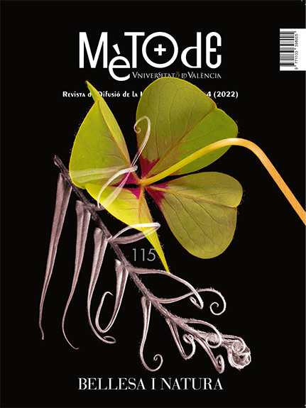 MÉTODE. REVISTA DE DIFUSIÓ DE LA INVESTIGACIÓ VOL. 4 (2022) Nº 115 BELLESA I NATURA 1