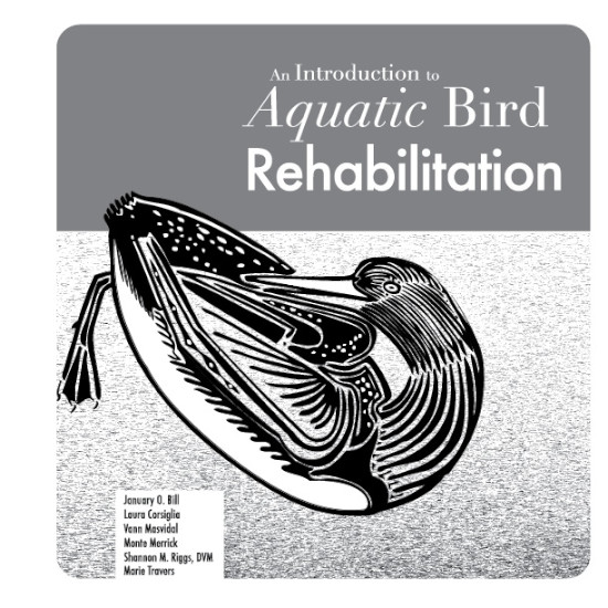 AN INTRODUCTION TO AQUATIC BIRD REHABILITATION