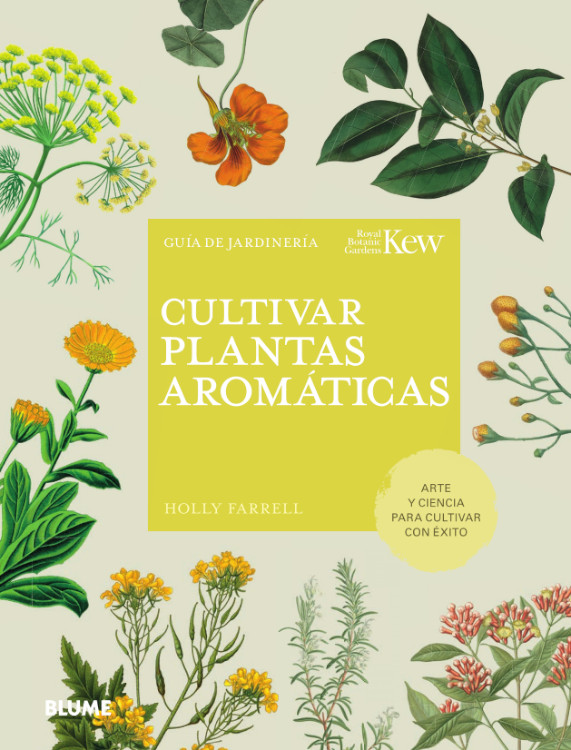 CULTIVAR PLANTAS AROMÁTICAS 1
