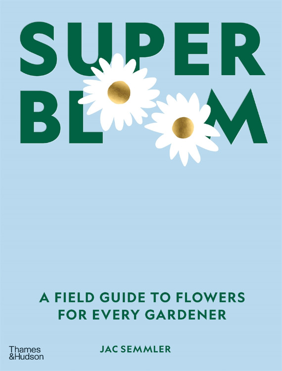 SUPER BLOOM 1