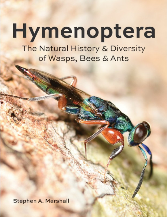 HYMENOPTERA THE NATURAL HISTORY BAND DIVERSITY OF WASPS, BEES AND ANTS 1
