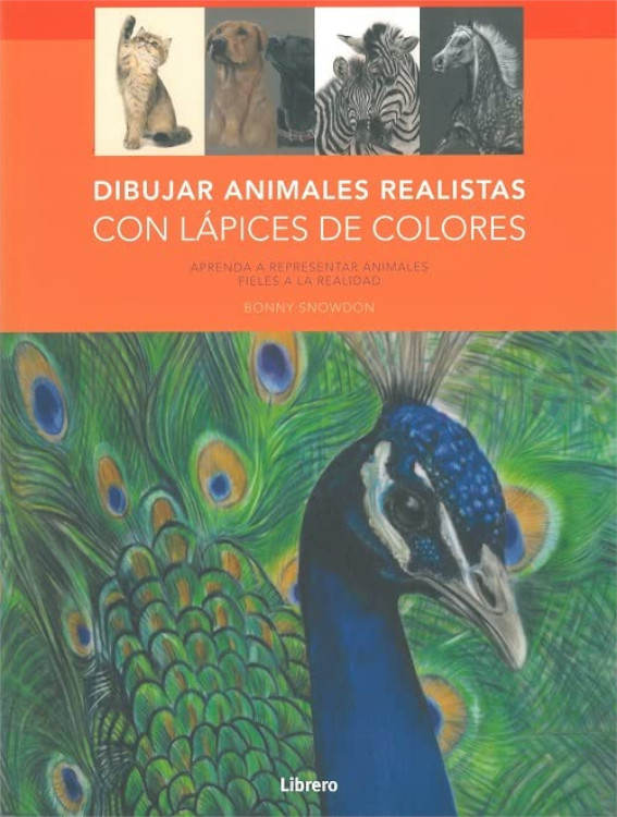 DIBUJAR ANIMALES REALISTAS CON LÁPICES DE COLORES 1