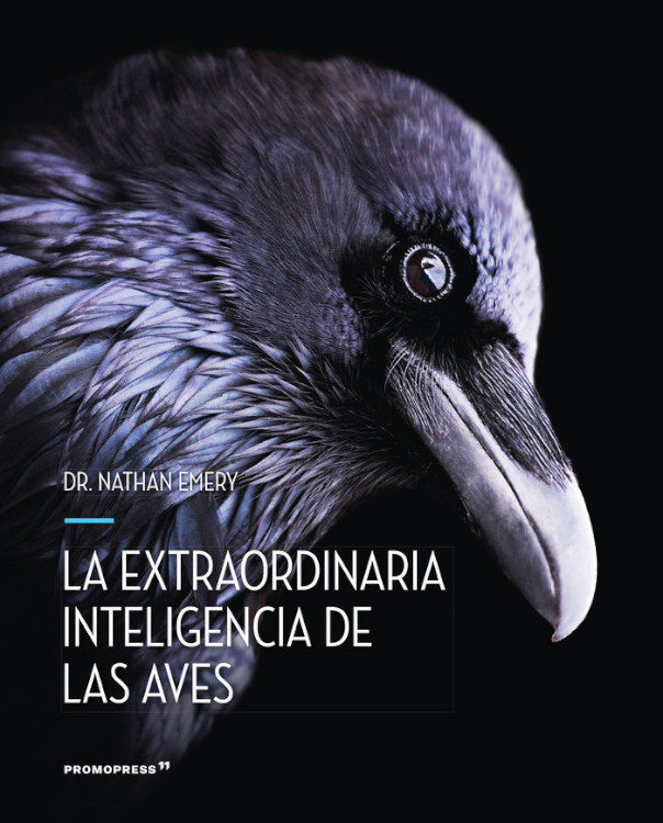 LA EXTRAORDINARIA INTELIGENCIA DE LAS AVES
