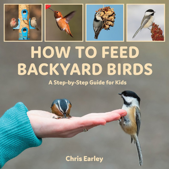 HOW TO FEED BACKYARD BIRDS. A STEP-BY-STEP GUIDE FOR KIDS
