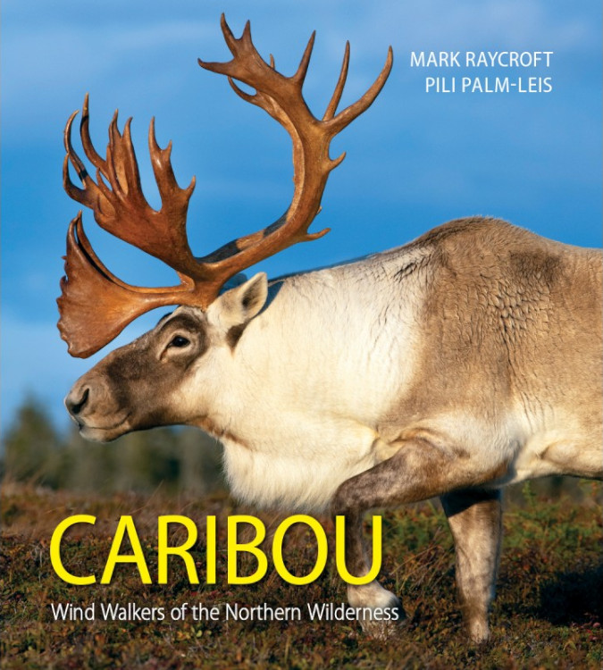 CARIBOU. WIND WALKERS OF THE NORTHERN WILDERNESS