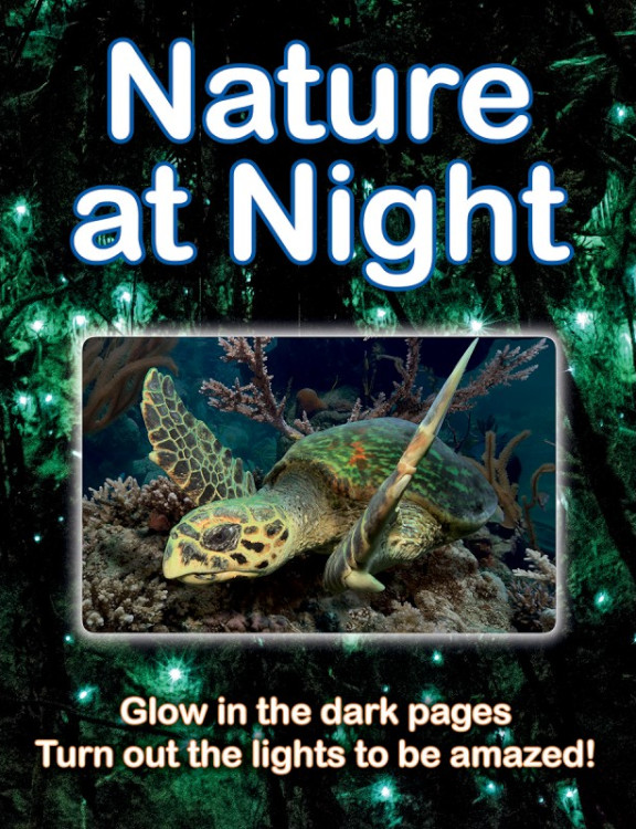 NATURE AT NIGHT 1