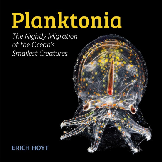 PLANKTONIA. THE NIGHTLY MIGRATION OF THE OCEAN'S SMALLEST CREATURES 1