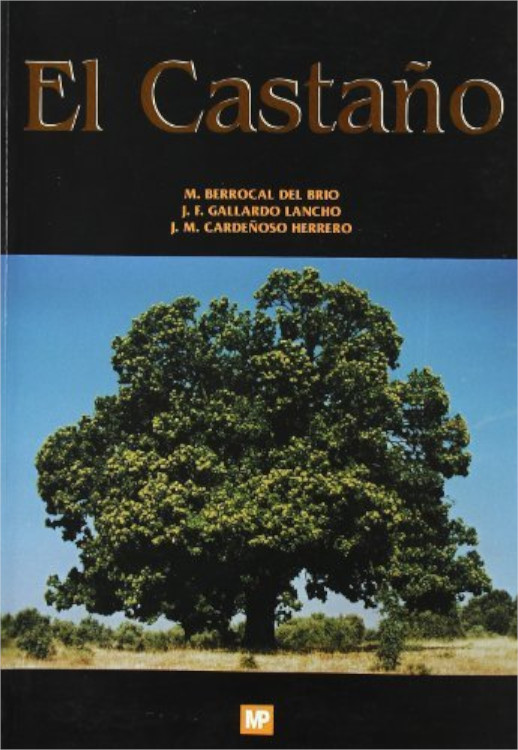 EL CASTAÑO. PRODUCTOR DE FRUTO Y MADERA. CREADOR DE PAISAJE Y PROTECTOR 1