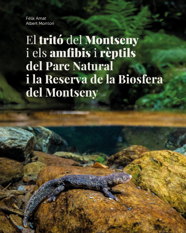 EL TRITÓ DEL MONTSENY I ELS AMFIBIS I RÈPTILS DEL PARC NATURAL I LA RESERVA DE LA BIOSFERA DEL MONTSENY 1