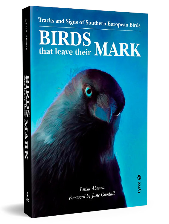 BIRDS THAT LEAVE THEIR MARK 1