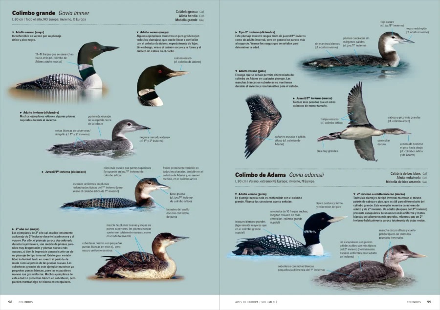 AVES DE EUROPA. IDENTIFICACIÓN DE TODAS LAS ESPECIES Y PLUMAJES (VOLUMEN 1 Y 2) 5