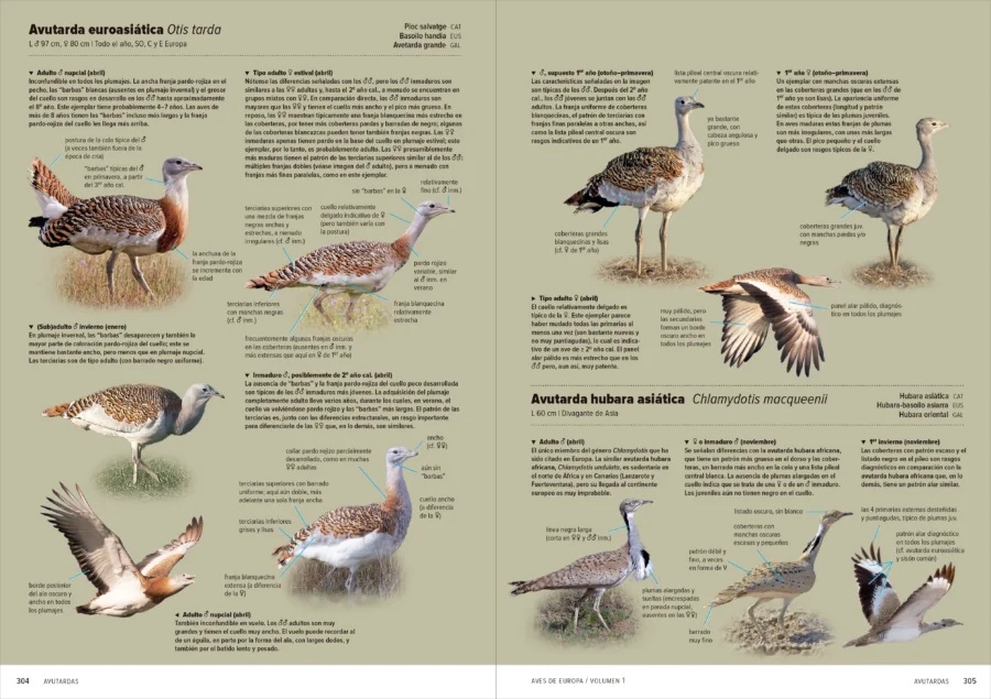 AVES DE EUROPA. IDENTIFICACIÓN DE TODAS LAS ESPECIES Y PLUMAJES (VOLUMEN 1 Y 2) 9