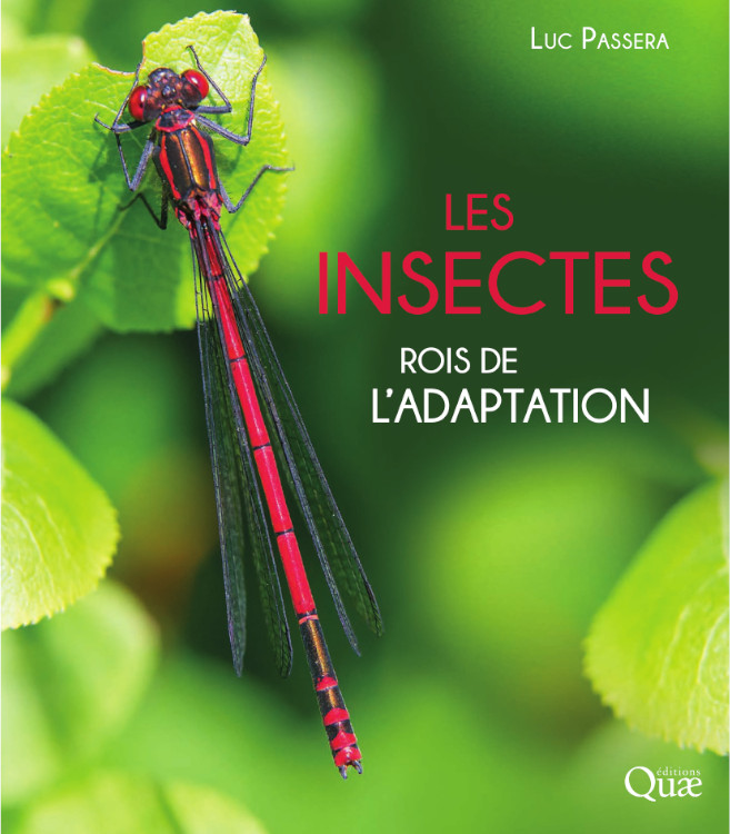 LES INSECTES. ROIS DE L'ADAPTATION