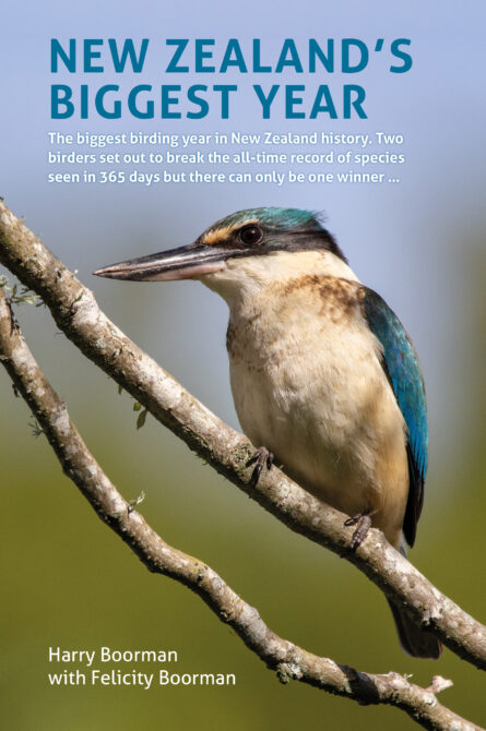NEW ZEALAND'S BIGGEST YEAR