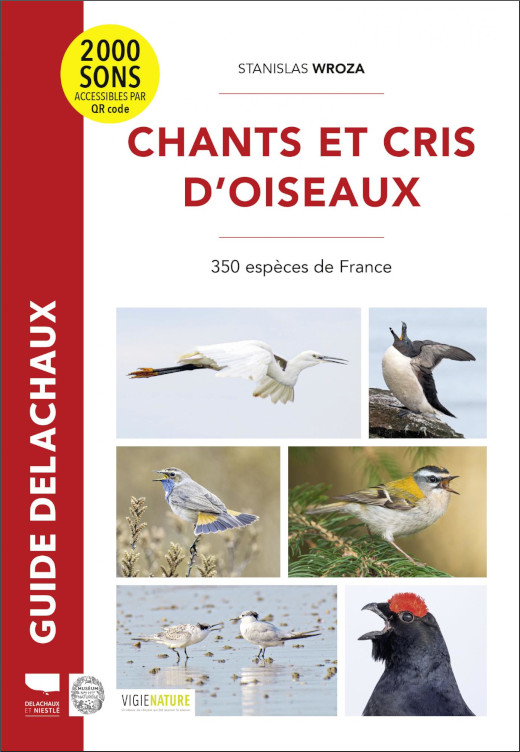 CHANTS ET CRIS D'OISEAUX. 350 ESPÈCES DE FRANCE 1