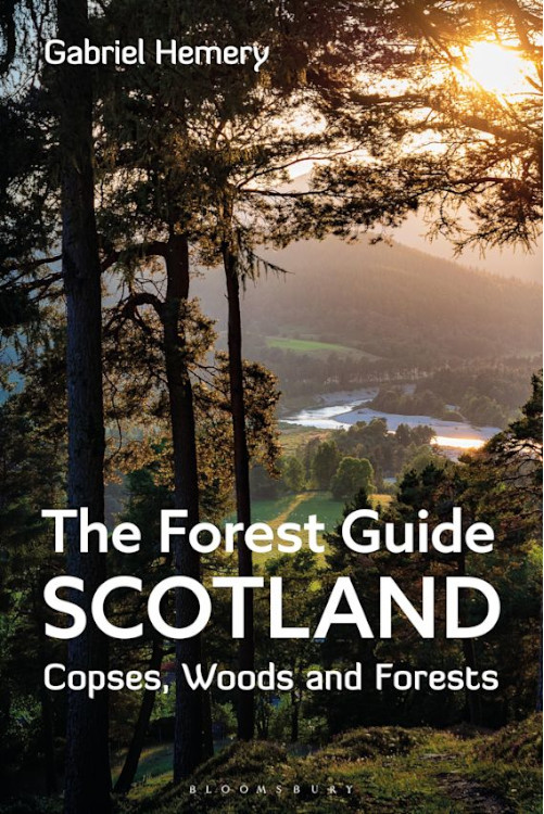 THE FOREST GUIDE: SCOTLAND