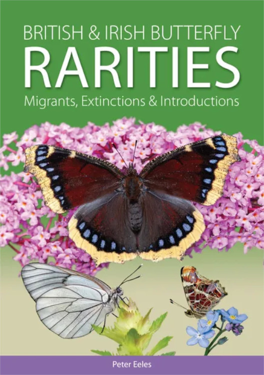 BRITISH & IRISH BUTTERFLY RARITIES. MIGRANTS, EXTINCTIONS & INTRODUCCIONS