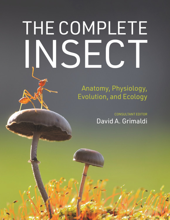 THE COMPLETE INSECT: ANATOMY, PHYSIOLOGY, EVOLUTION, AND ECOLOGY