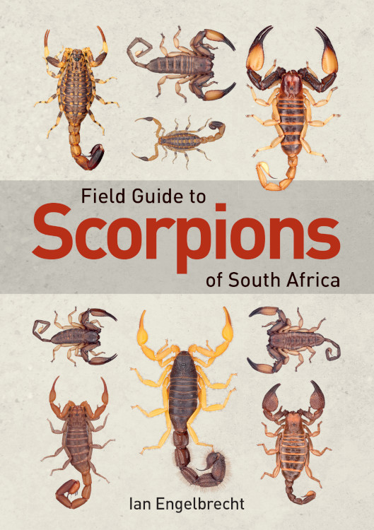 FIELD GUIDE SCORPIONS OF SOUTH AFRICA