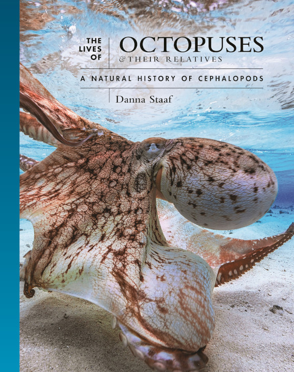 THE LIVES OF OCTOPUSES AND THEIR RELATIVES: A NATURAL HISTORY OF CEPHALOPODS