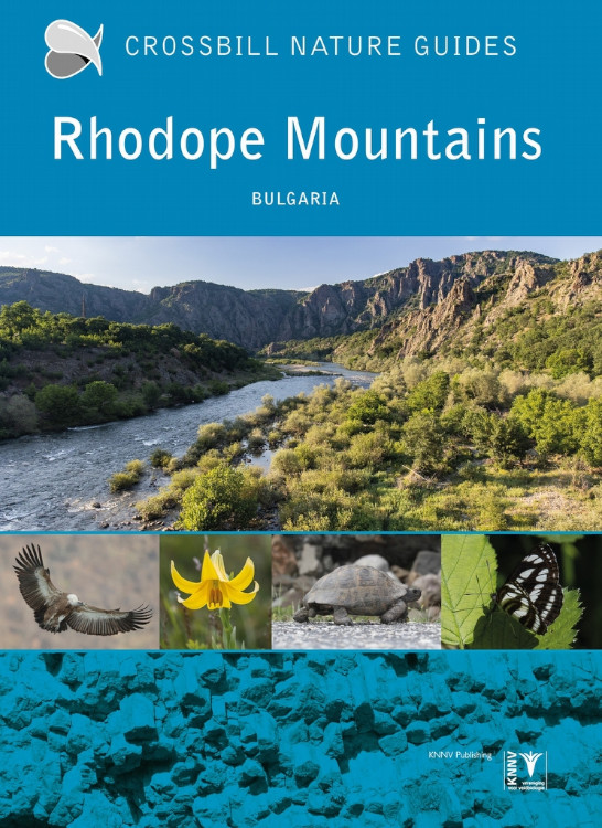 CROSSBILL NATURE GUIDES. RHODOPE MOUNTAINS (BULGARIA)