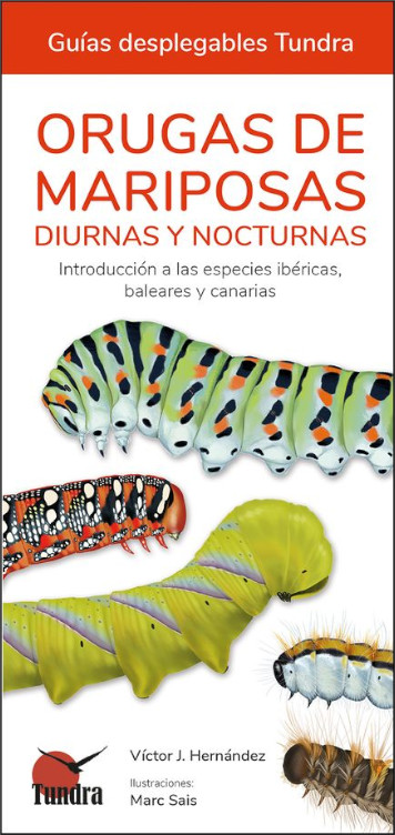 ORUGAS DE MARIPOSAS DIURNAS Y NOCTURNAS. INTRODUCCIÓN A LAS ESPECIES IBÉRICAS, BALEARES Y CANARIAS. GUÍAS DESPLEGABLES TUNDRA